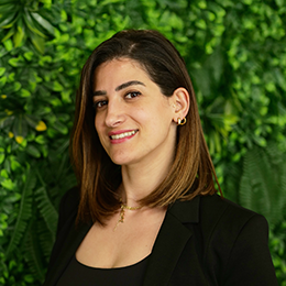 Baraa Najem